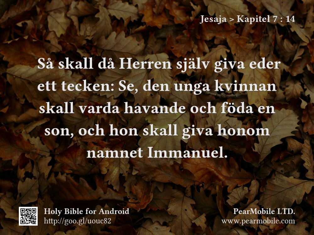 Jesaja, Kapitel 7:14